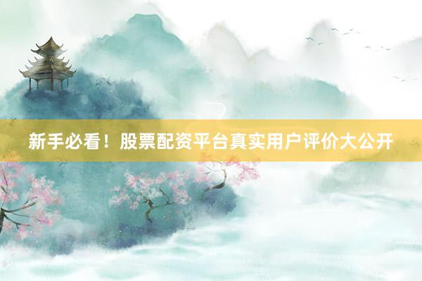 新手必看！股票配资平台真实用户评价大公开
