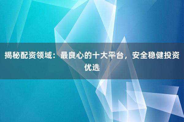 揭秘配资领域：最良心的十大平台，安全稳健投资优选