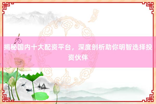 揭秘国内十大配资平台，深度剖析助你明智选择投资伙伴