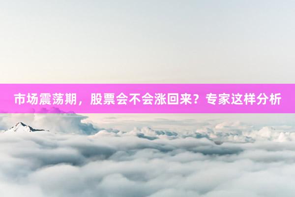 市场震荡期，股票会不会涨回来？专家这样分析
