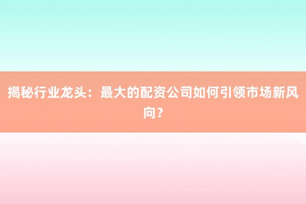 揭秘行业龙头:最大的配资公司如何引领市场新风向?