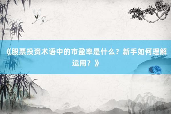 《股票投资术语中的市盈率是什么?新手如何理解运用?》