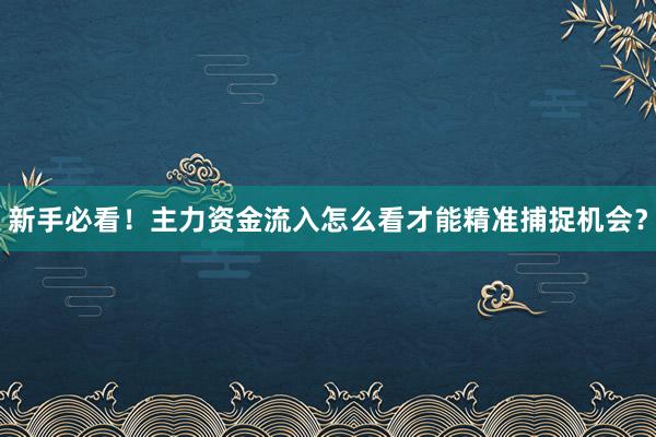 新手必看！主力资金流入怎么看才能精准捕捉机会？